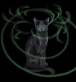 mystic_cat.gif.jpg